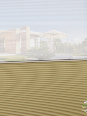 Màn tổ ong ở Thanh Hoá